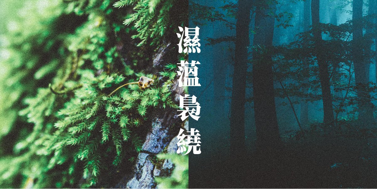 濕蘊+裊繞香氛示意