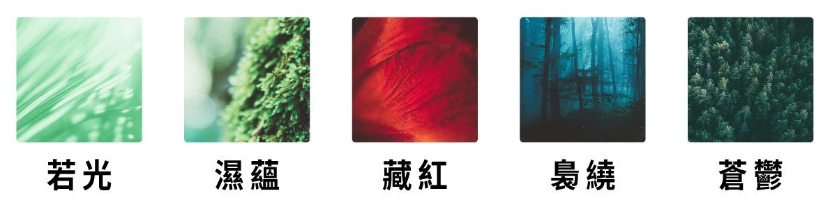 若光 濕蘊 藏紅 裊繞 蒼鬱