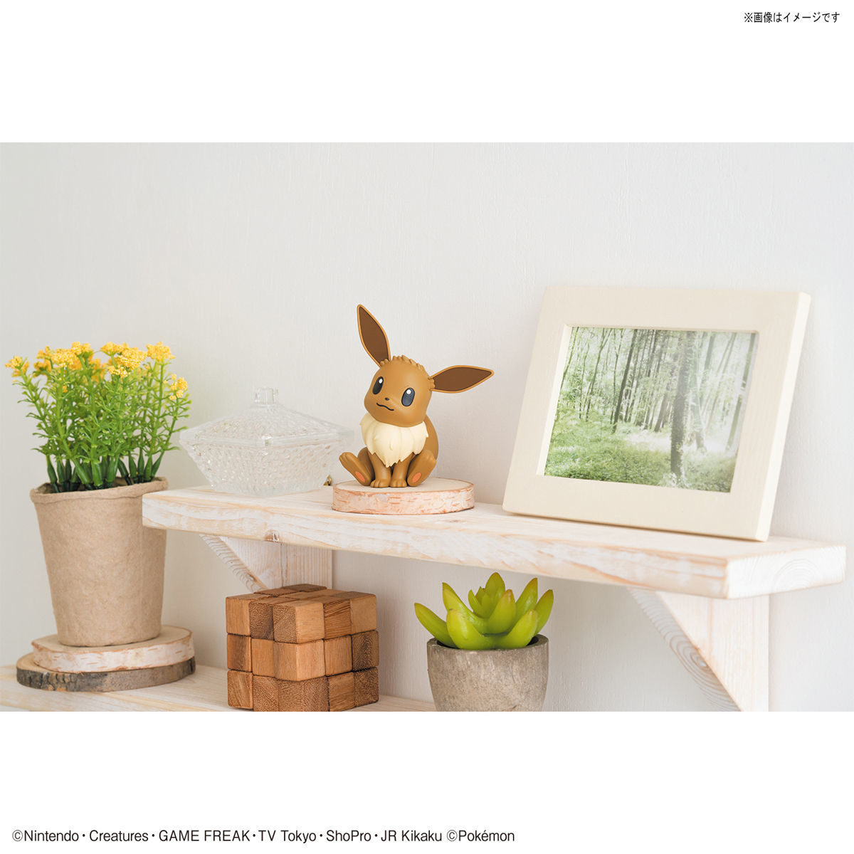 精靈寶可夢模型系列 QUICK!! 004 依貝