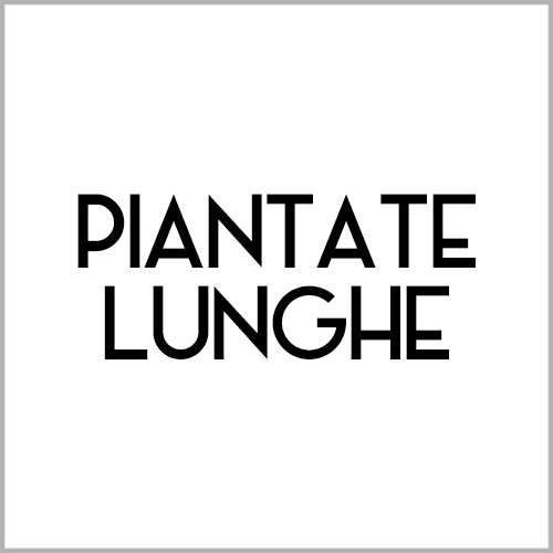 Cellar Piantate Lunghe