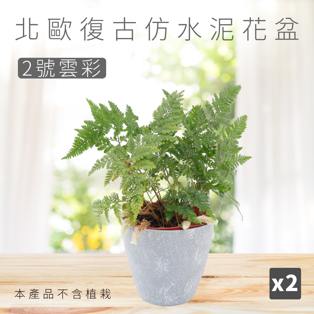 北歐復古仿水泥花盆 - 2號雲彩 2入