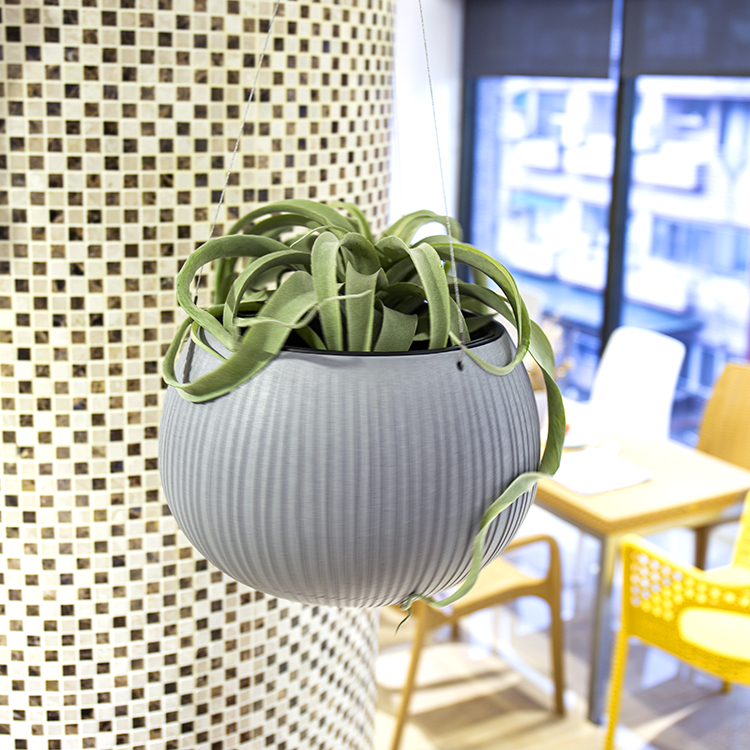 貝頓 2in1 吊盆 (24)