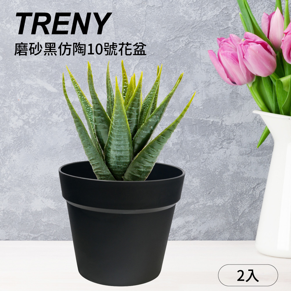 磨砂黑仿陶10號花盆 - 2入