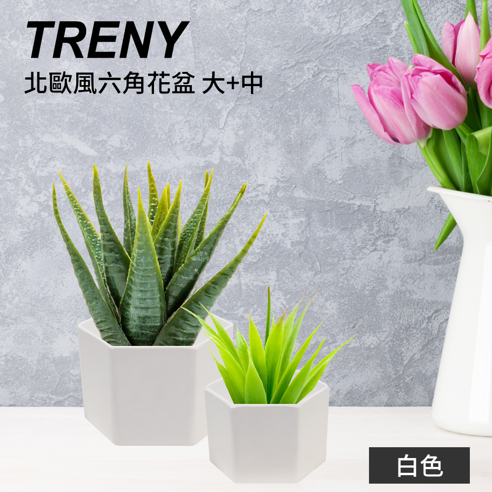 北歐風六角花盆-大+中 - 白色