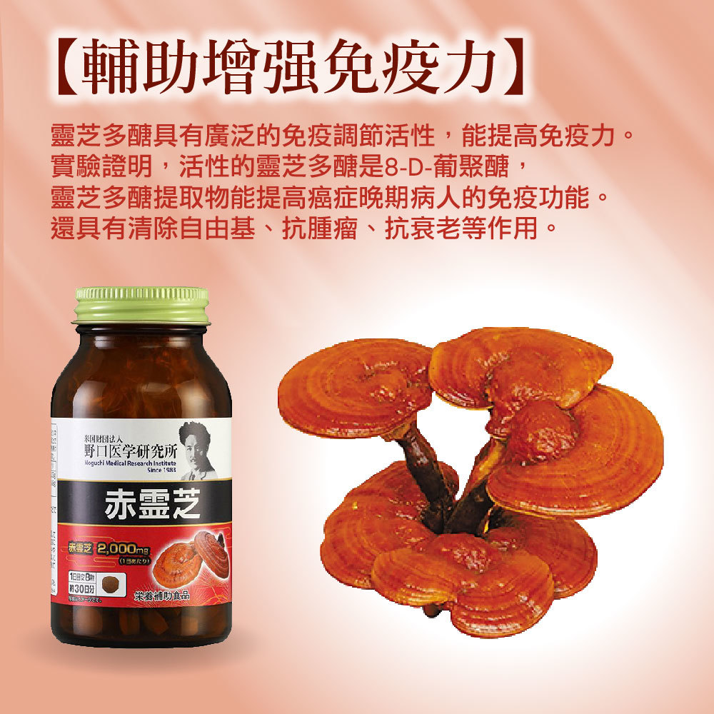 赤靈芝-破壁靈芝孢子【正品】野口醫學研究所-日本製造