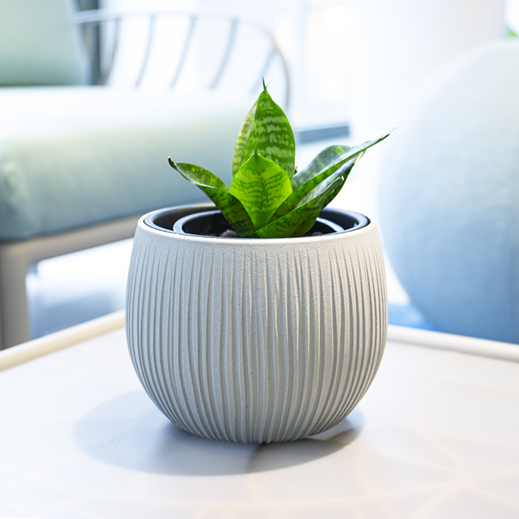 貝頓 2in1 圓盆 (15)