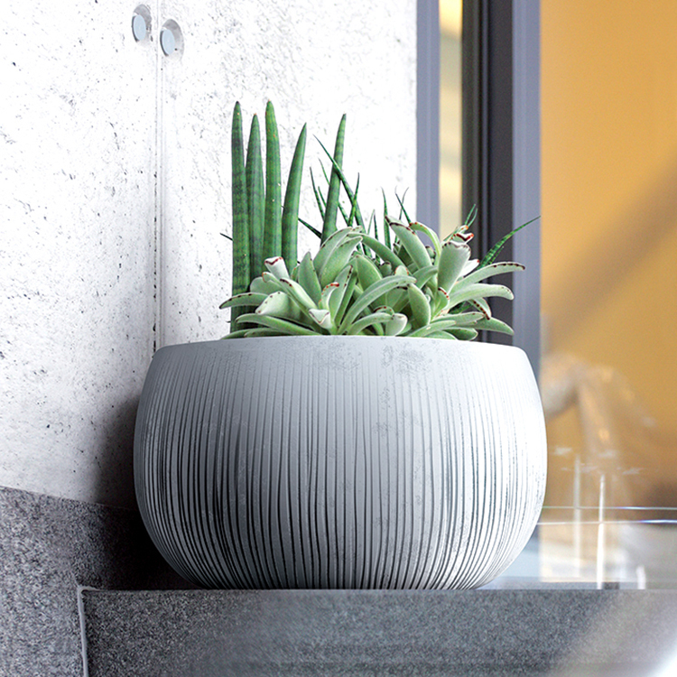 貝頓 2in1 圓盆 (48)