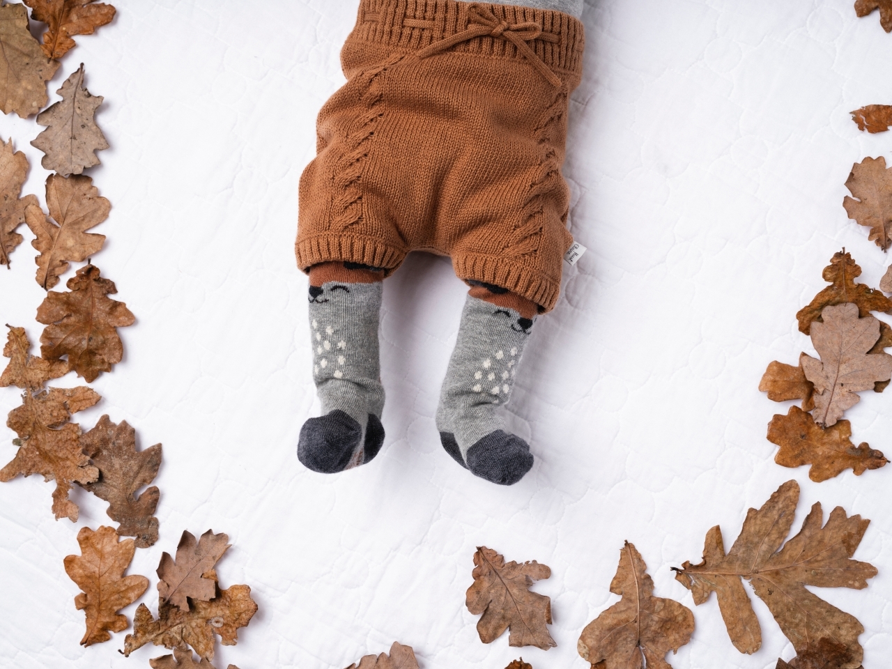 〖 Hust & Claire 〗深灰動物臉褲襪