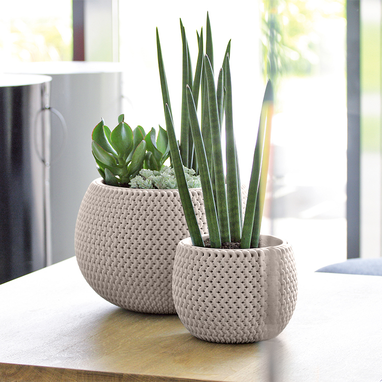 史波菲2in1圓盆(15)