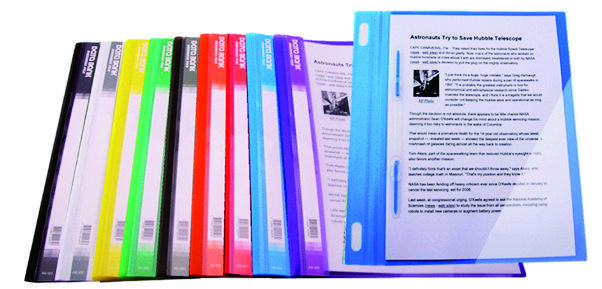 Databank A4 透明斜紋面顏色底蛇夾