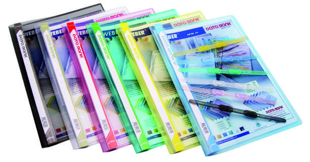 Databank A4 透明斜紋底面蛇夾