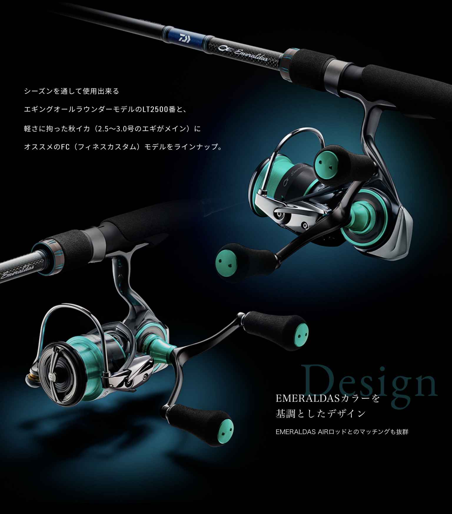 エギング釣行3回使用DAIWA ダイワ　エメラルダス　エギング　ロッドリールセット