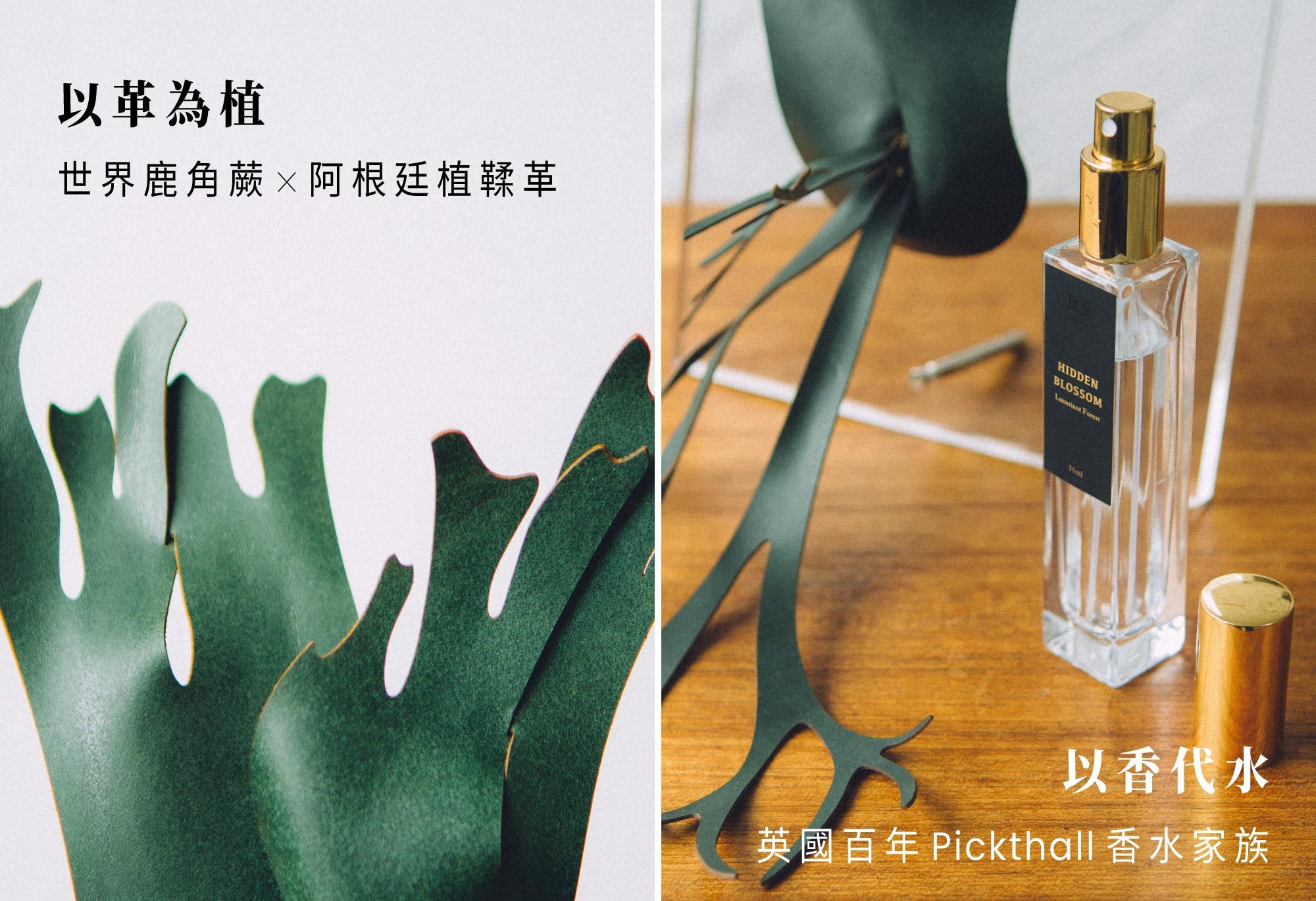 阿根廷植鞣革 英國 Pickthall 香水家族