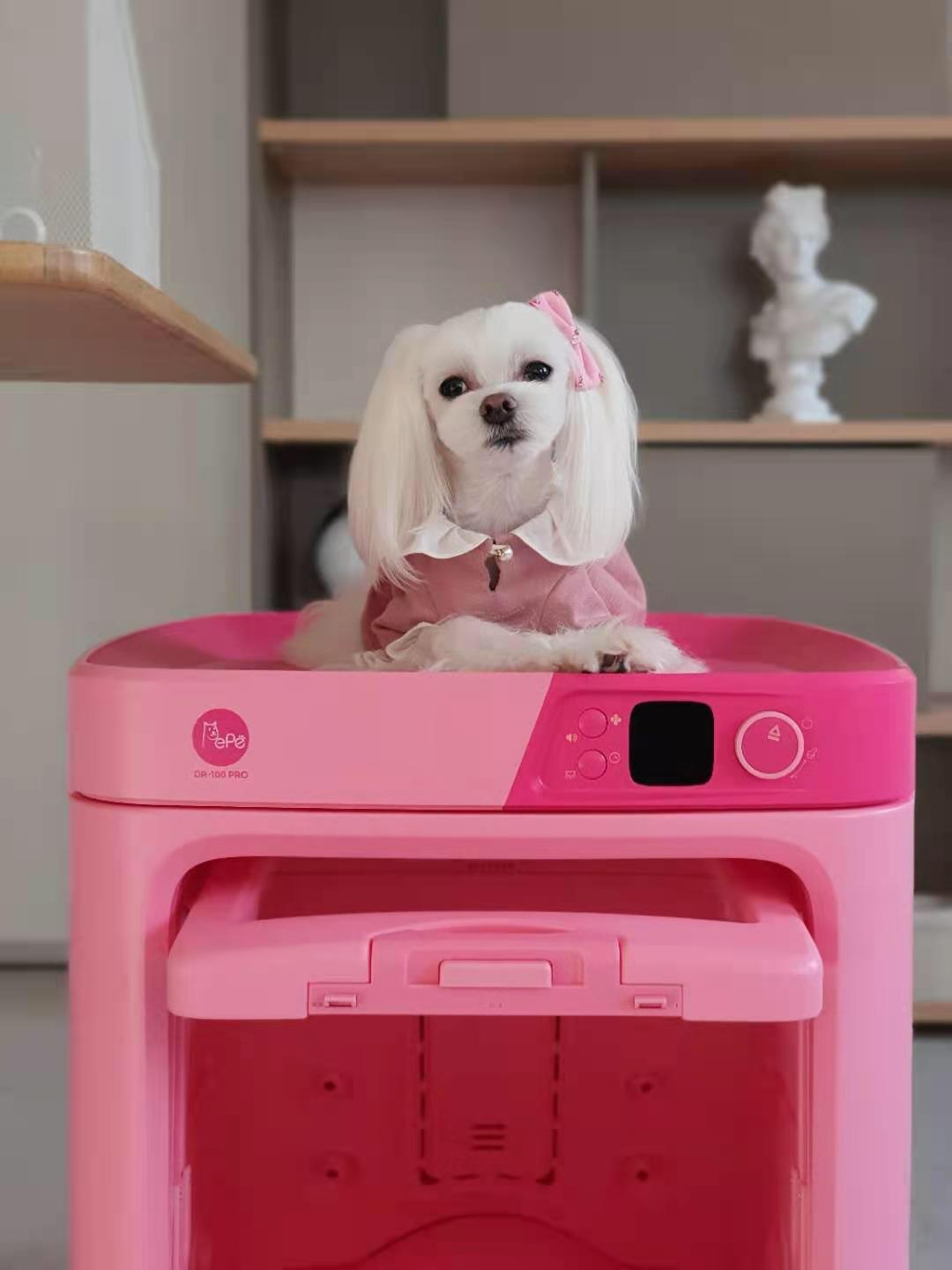 【接受預訂】PePe DR-100 PRO 韓國全自動負離子智能寵物烘毛機 [粉紅色] (原裝行貨｜一年保養）