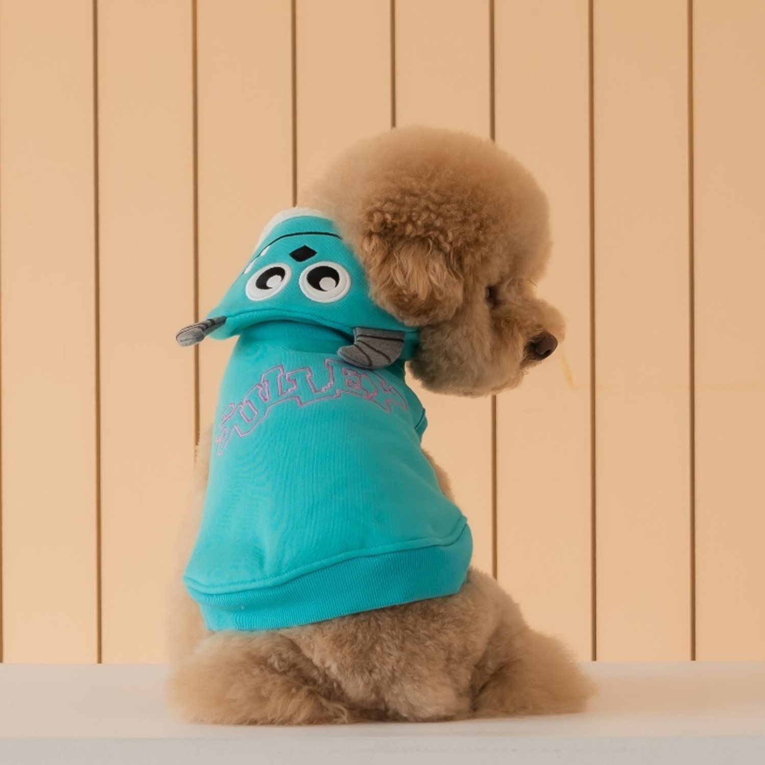 Disney 連帽背心 (蘇利文)