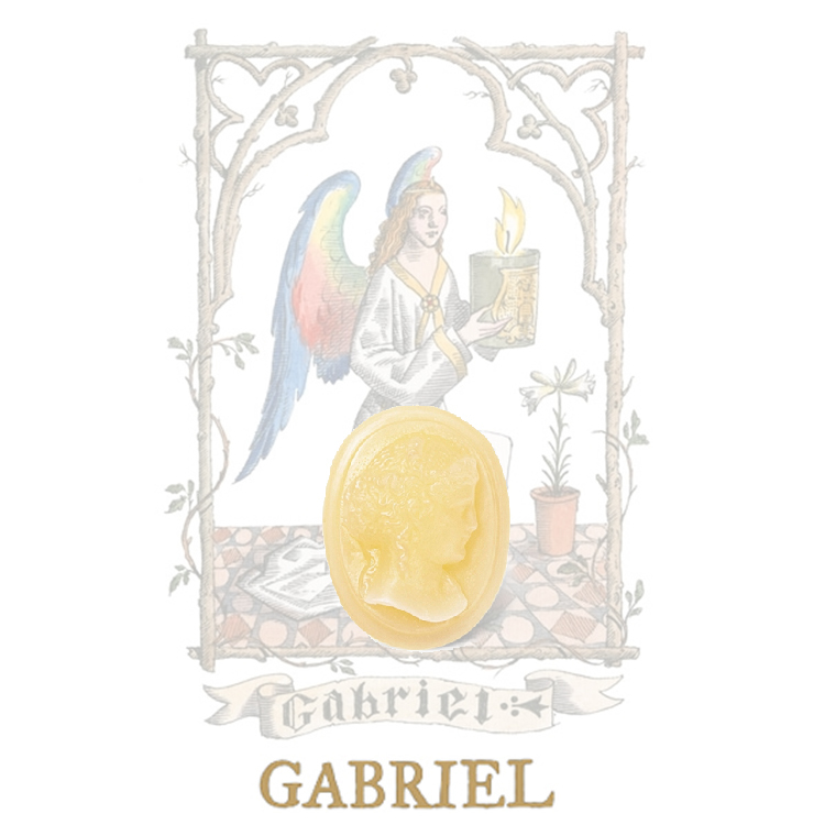 Trudon 羊絨木與栗香香氛蠟塊