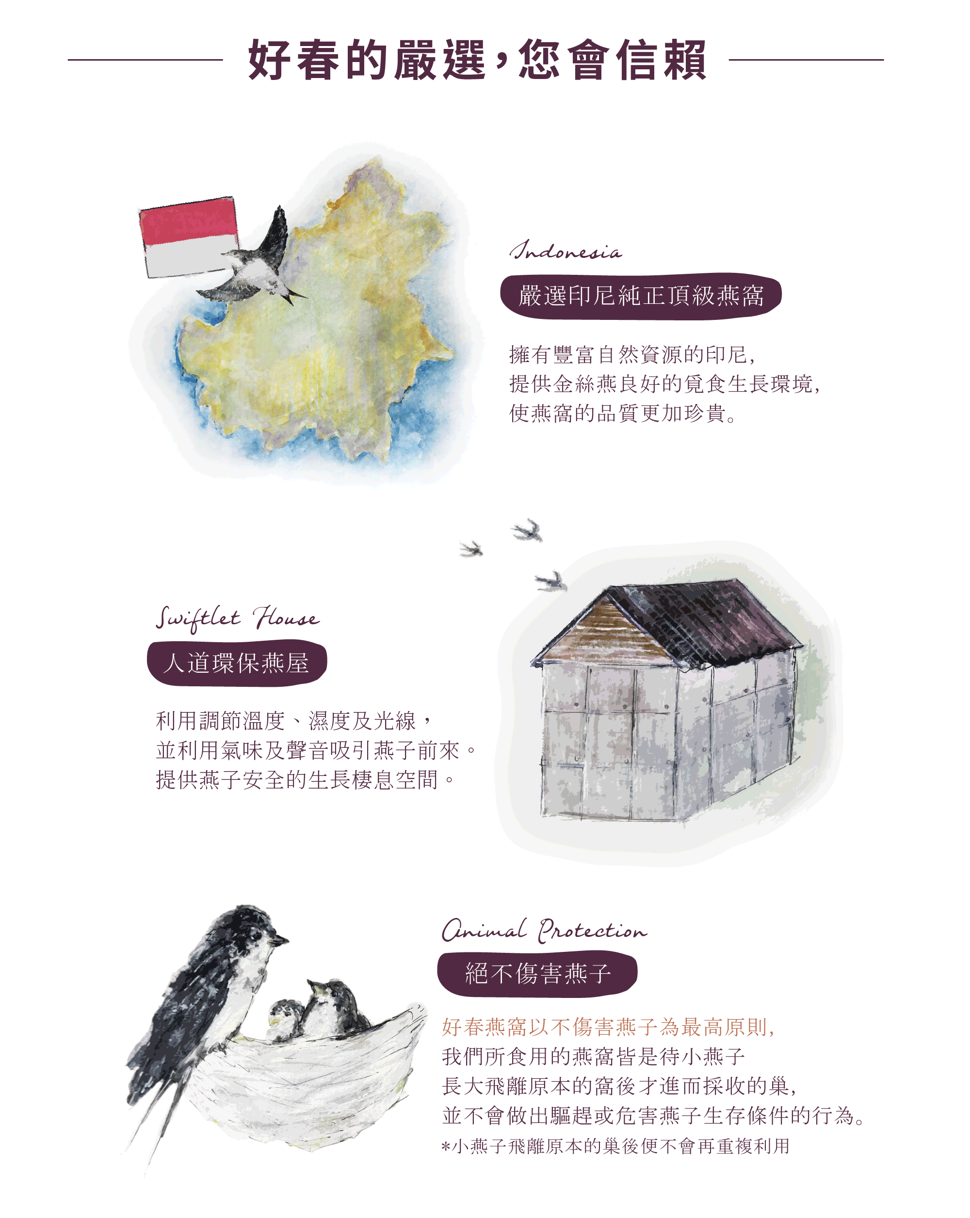 Good Pregnant Mommy Gift Box-Small Flowers Bite Set Fresh Stewed Bird’s Nest Single Pack 360g - 健康食品・サプリメント - 食材 パープル