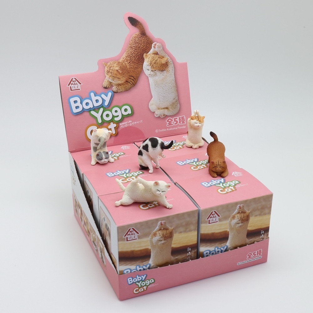 Animal Life貓瑜珈寶寶 [6入/中盒/日版]