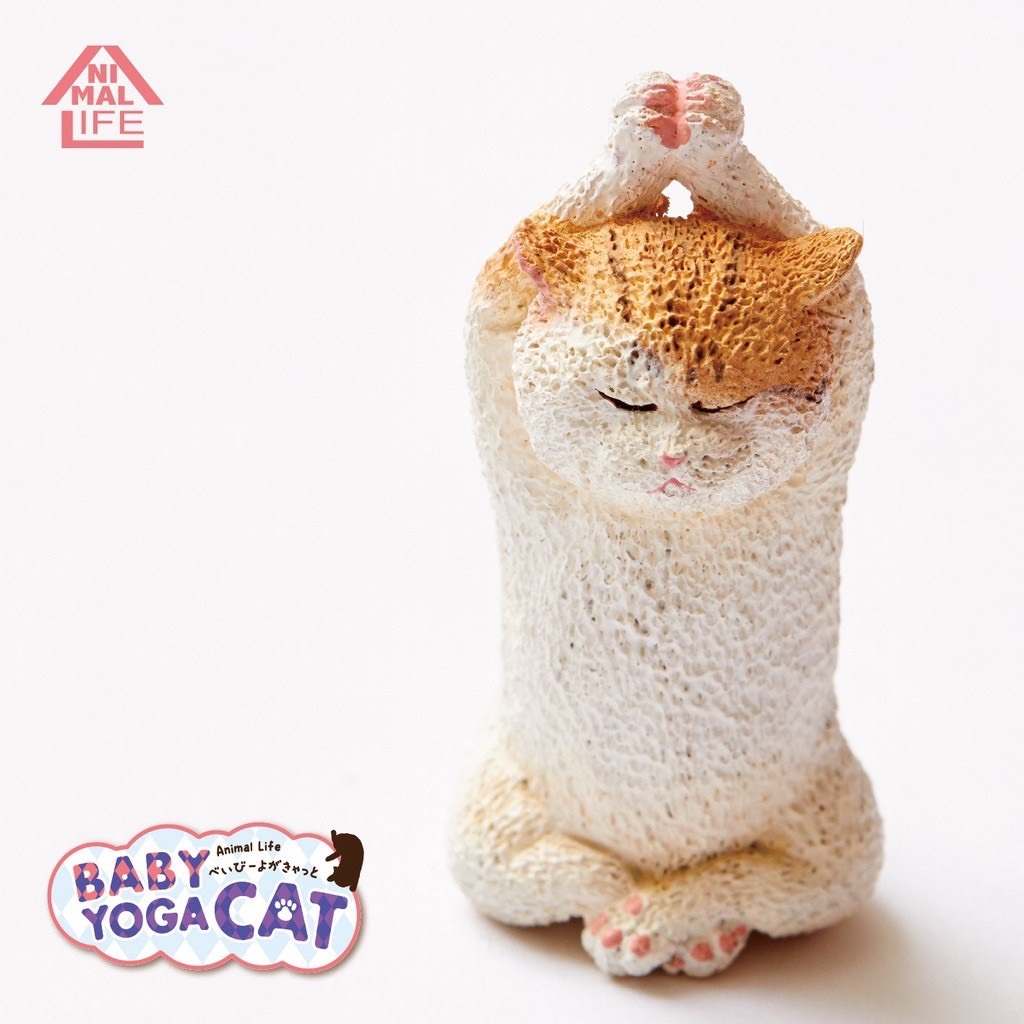 Animal Life貓瑜珈寶寶 [6入/中盒/日版]