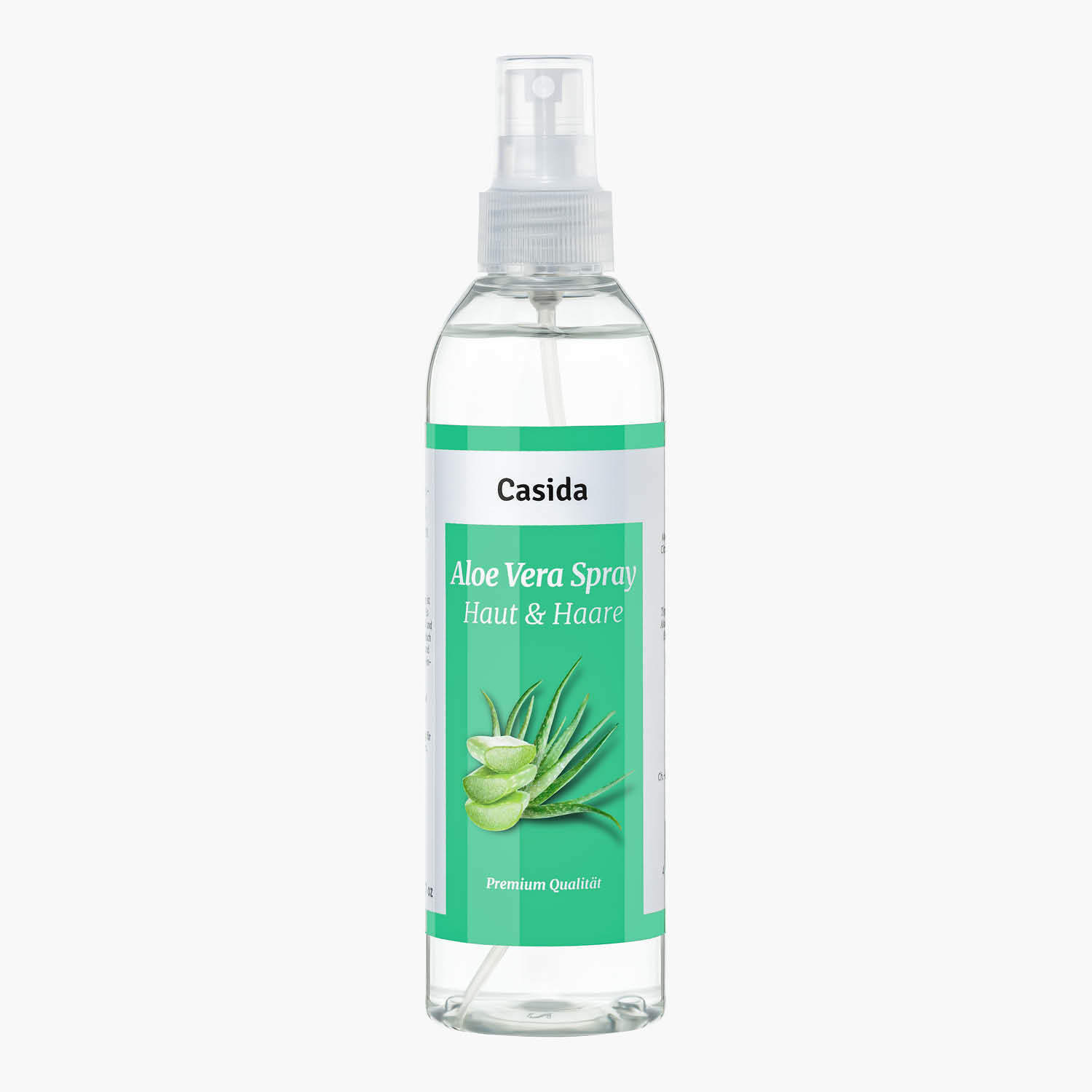 aloe vera pflanze braune spitzen abschneiden Aloe vera | Sukkulente main image 0