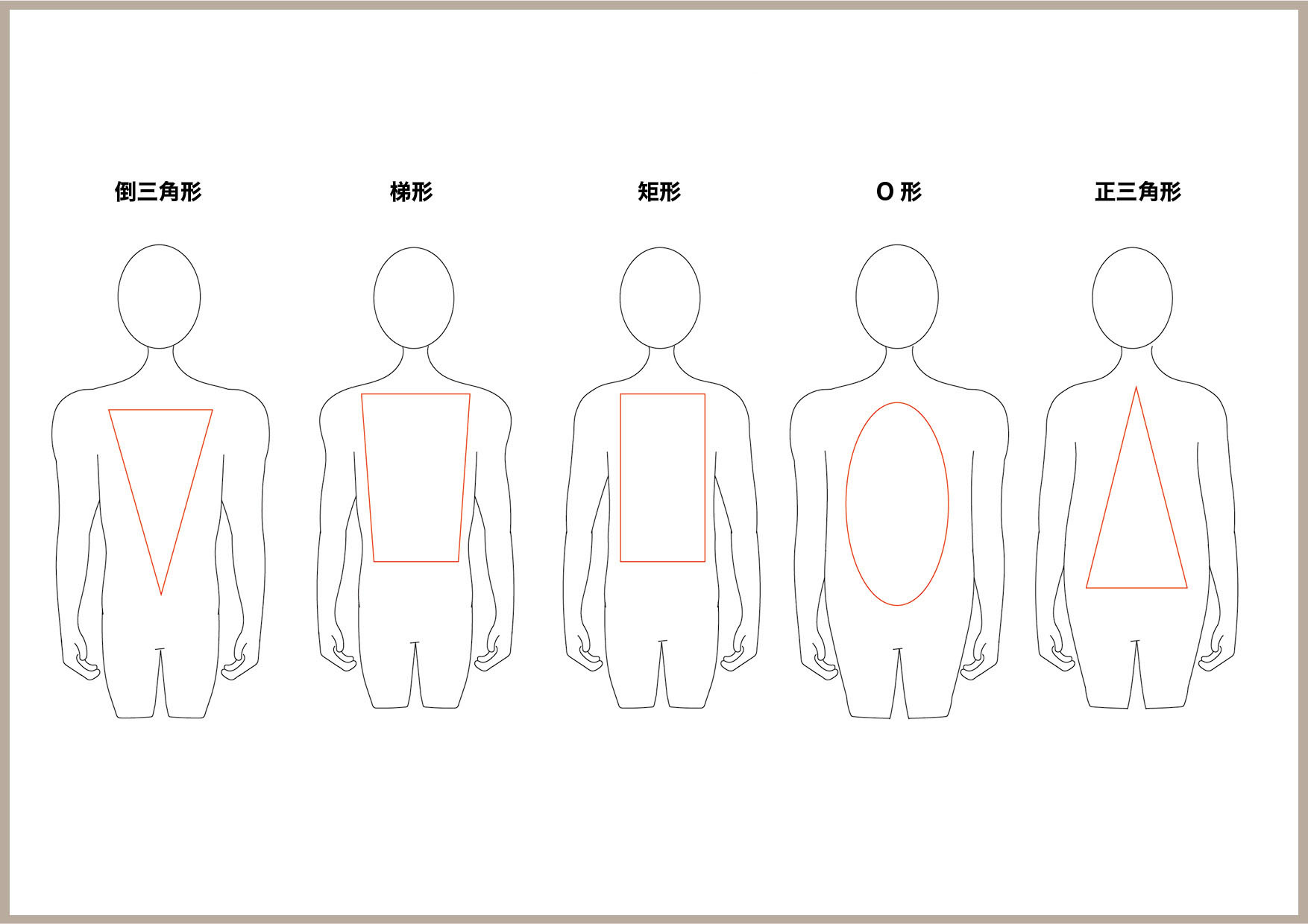 白T、素T常見身形(男)