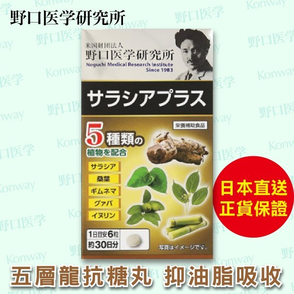 💝82折💝五層龍抗糖丸【正品】 日本製造-野口醫學研究所 抑制油脂吸收，改善血液黏稠 抑制及延緩食物分解為葡萄糖、果糖