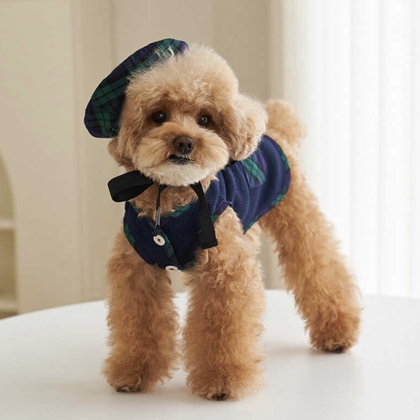 預科生 學院風-配件 貝雷帽-綠格 It’s sunny outside