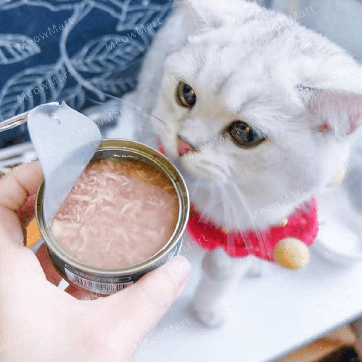 【6罐試食裝】Pet Cake Factory [医療費削減系列] 100%天然純鮪魚貓罐頭 109g