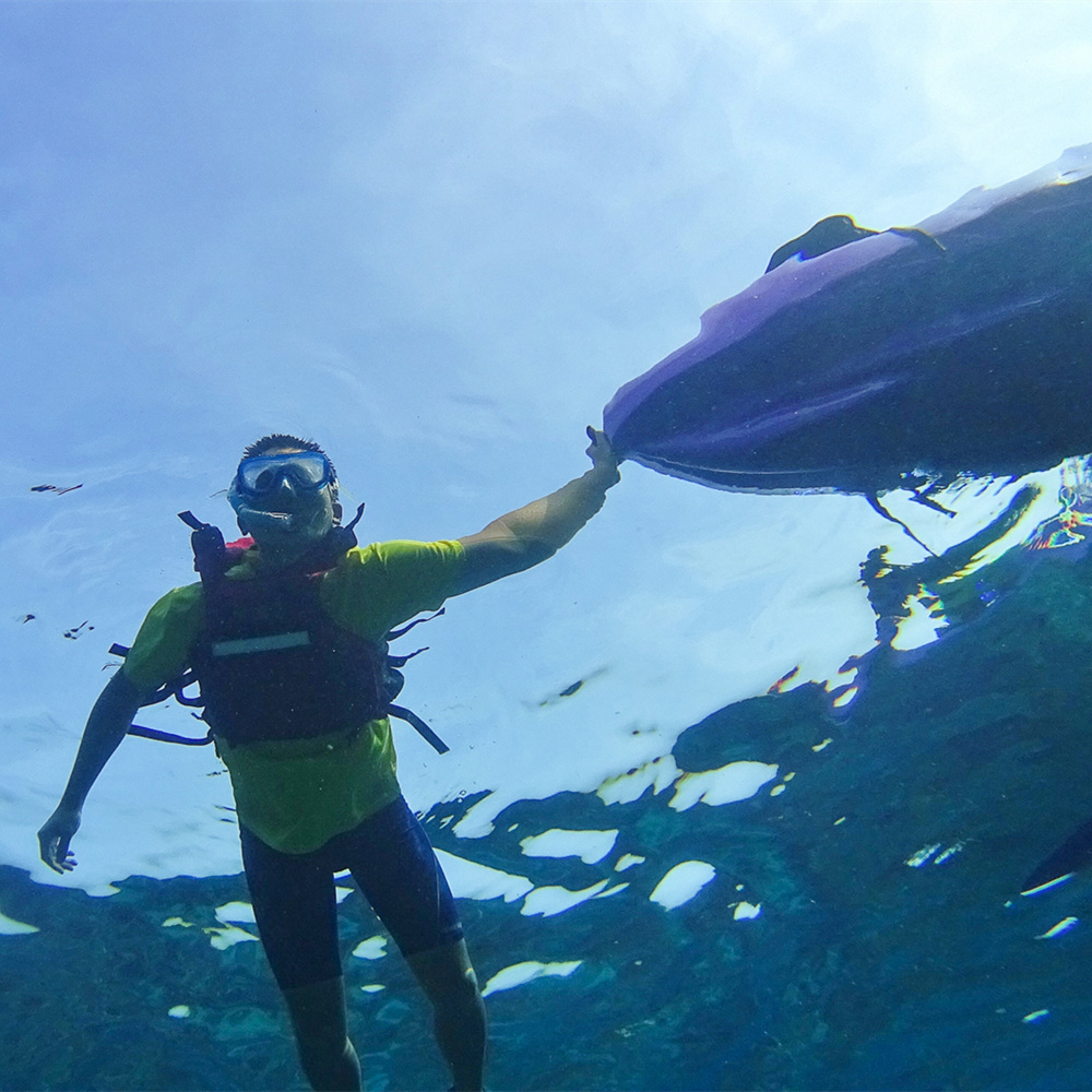 【小琉球】海龜伴你划，小琉球獨木舟浮潛行