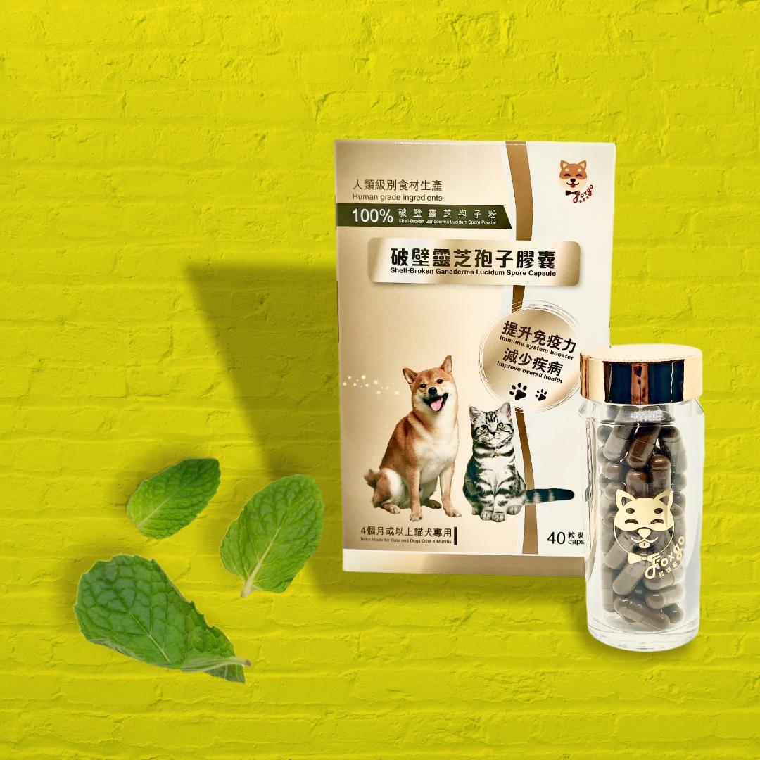 Foxgo Shell-broken Ganoderma Lucidum Spore 40 Capsule