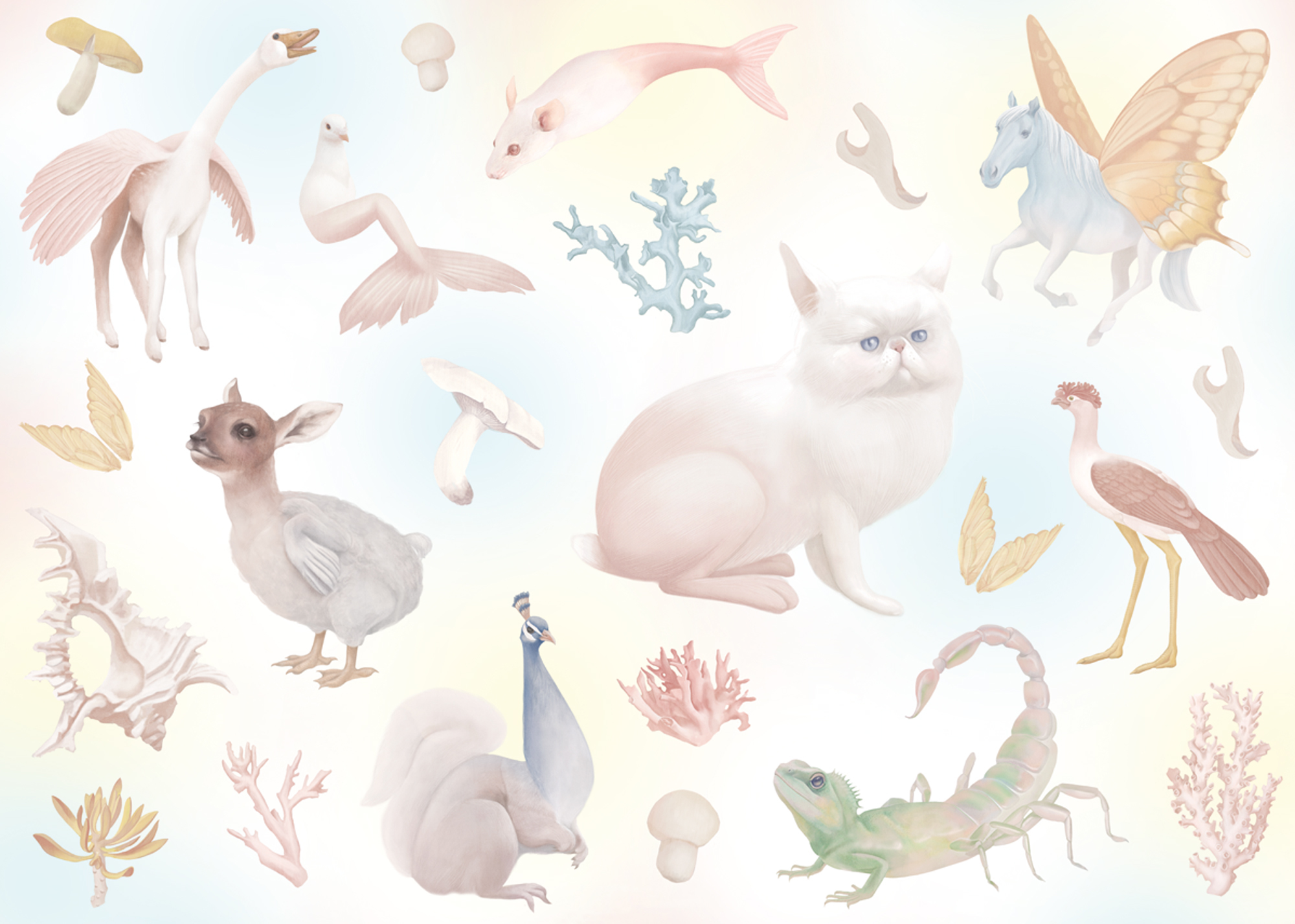 【CLOUDBERRIES】混血兒 1000片拼圖