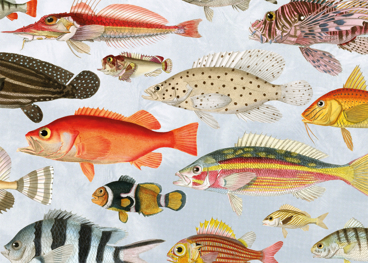 【CLOUDBERRIES】水 1000片拼圖