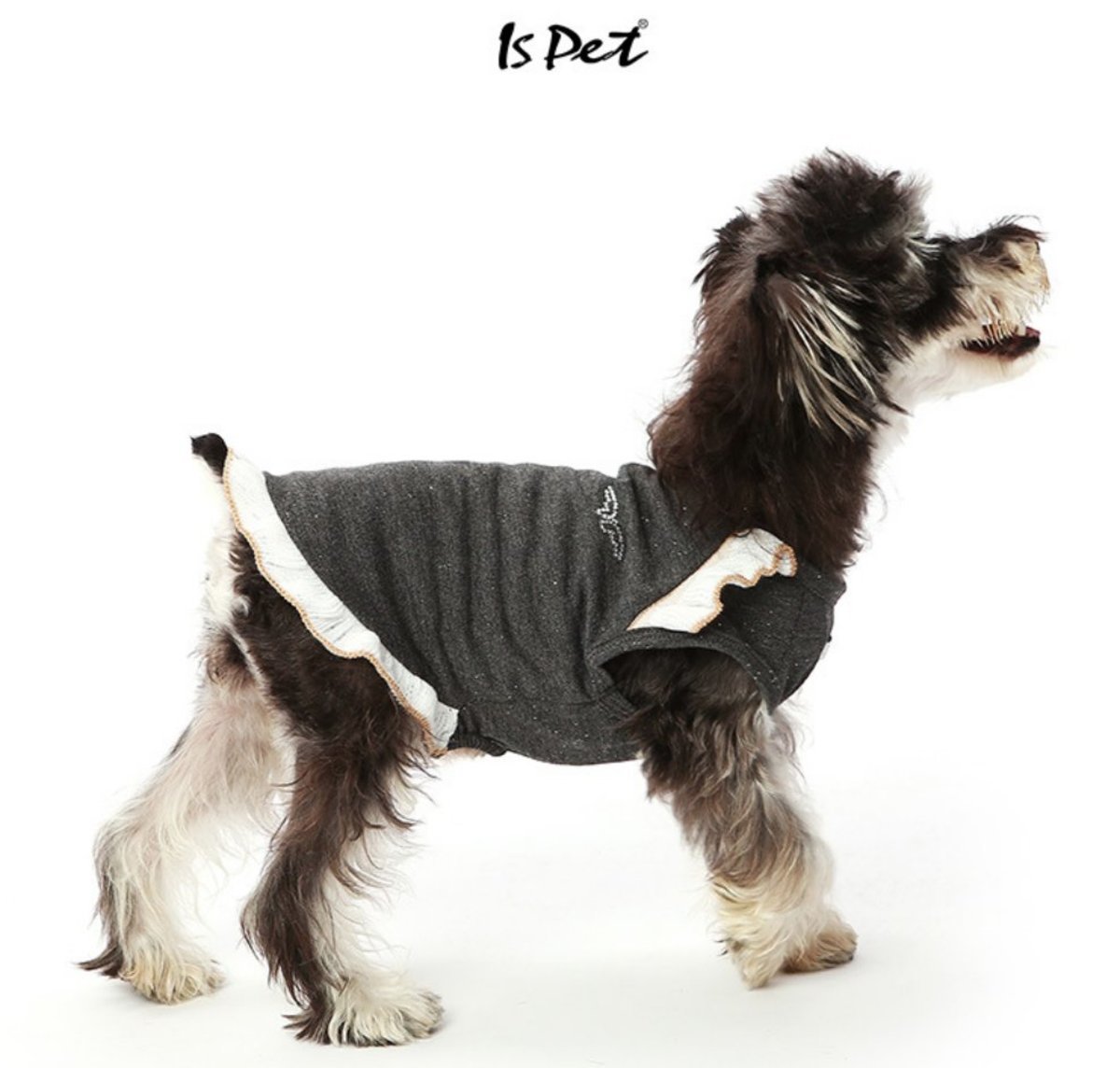 IsPet - 寵物海軍風彈力T恤 [黑色] [3尺寸]