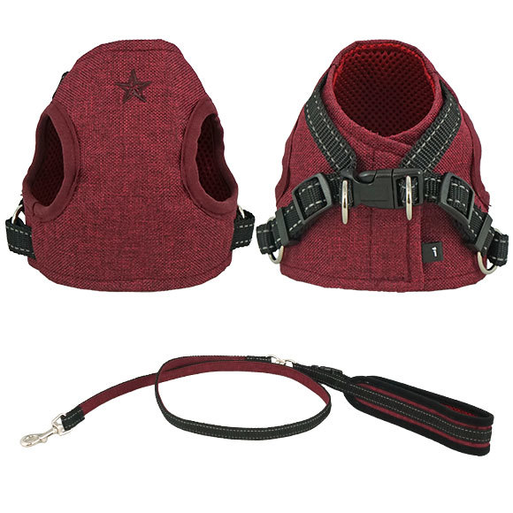 iCAT 星星素面胸背組