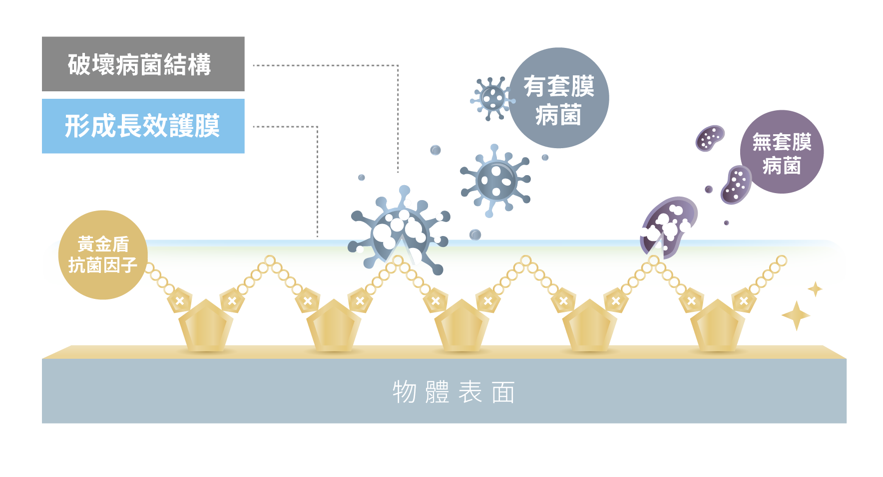 實驗證明黃金盾抗菌因子有效成分對於有套膜與無套膜病毒都有顯著的抑制效果，形成長效護膜