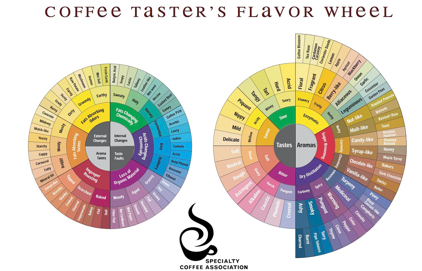 如何定義杯中物的風味？認識咖啡風味輪