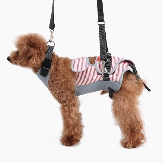 LaLaWalk 中小型犬步行輔助帶 (紅條紋)