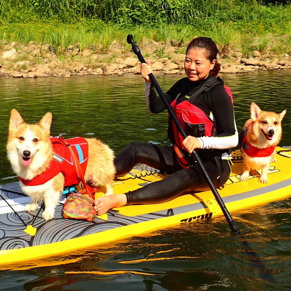 【新北】SUP貼近自然，親子同遊－坪林親水公園