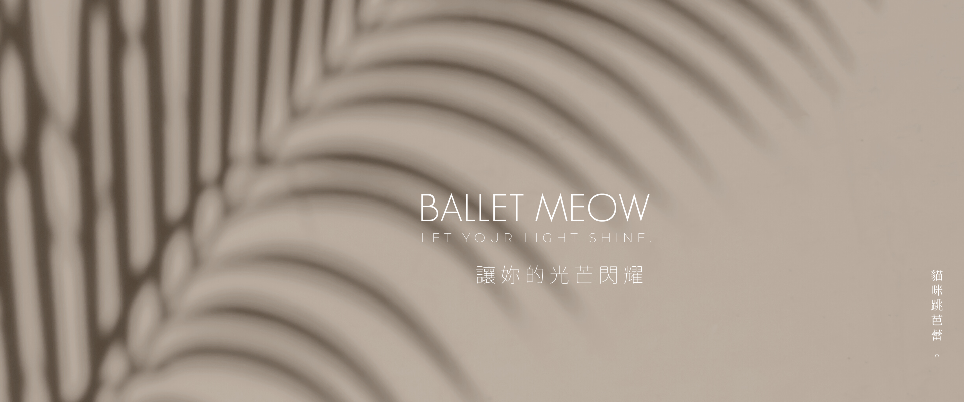 法式內衣bralette無襯墊內衣、薄襯內衣、蕾絲內衣性感內衣假領子 假領片 假領子 襯衫 假領子 蝦皮 假領子哪裡買 假領子 diy 假領子 穿搭 假領子 ptt 假領子 蝦皮