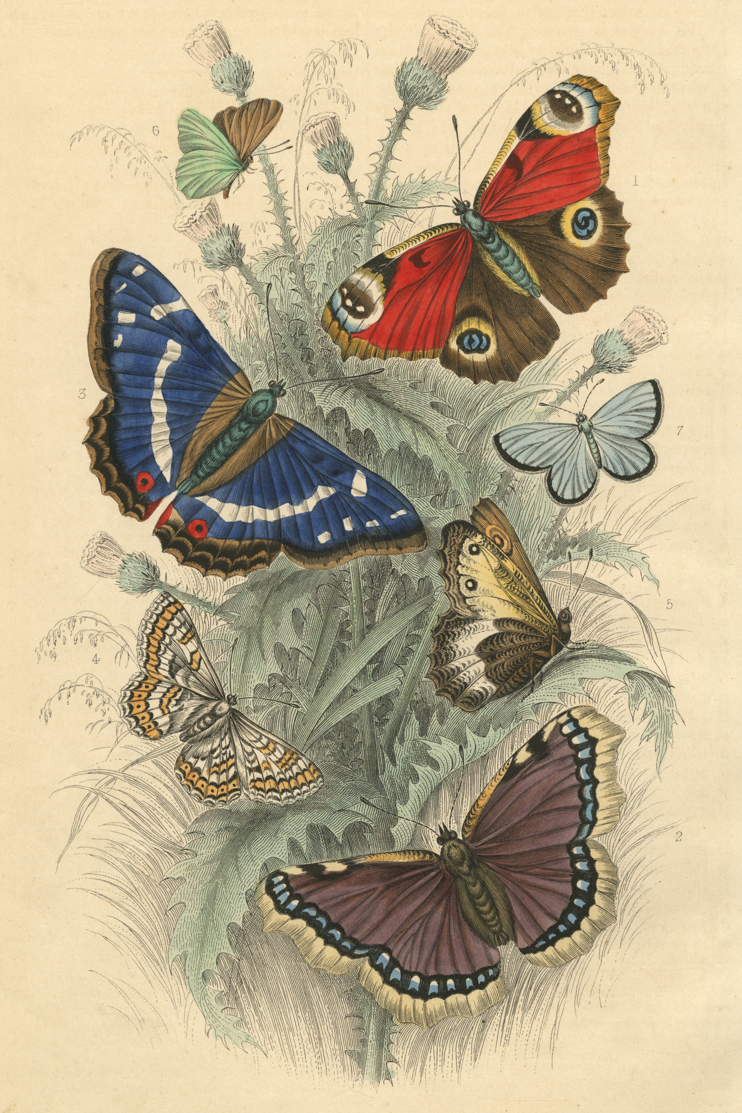 【WORKMAN】約翰·德里安 紙品：跳舞的蝴蝶 750片拼圖