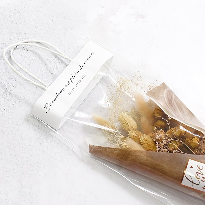 透明禮品提袋-(大) 10入/包【4-273550】