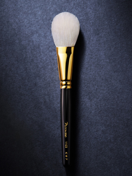 PICCASSO Signature - 1103 Powder