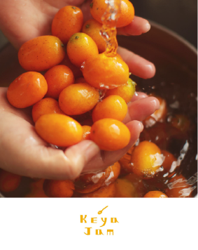 台灣果醬伴手禮