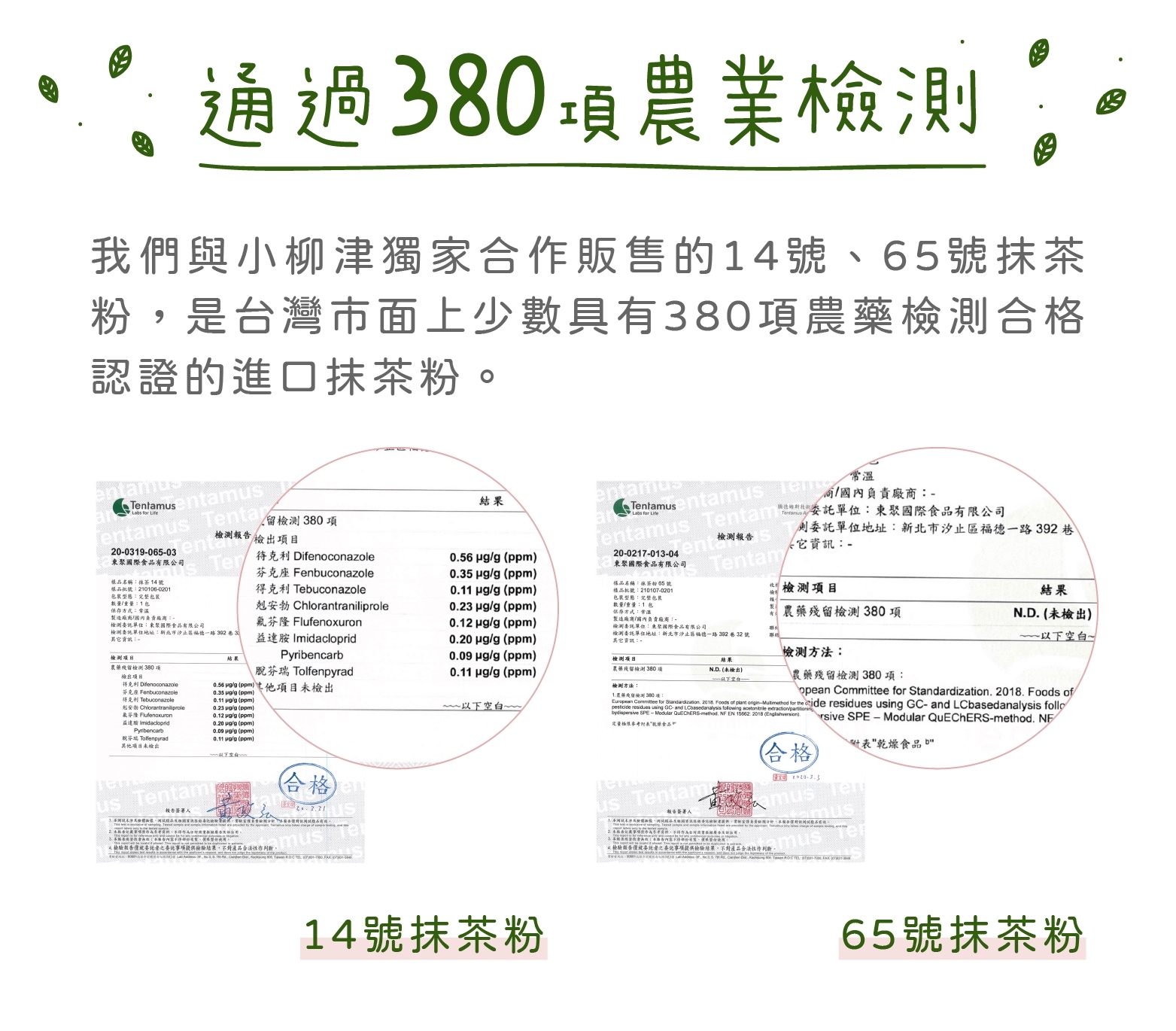 小柳津抹茶粉通過380項農業檢測