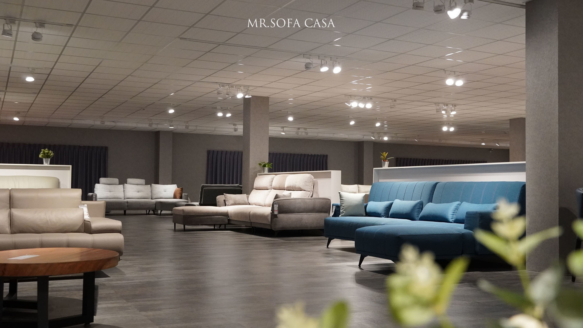 星座介紹|個性＆沙發顏色