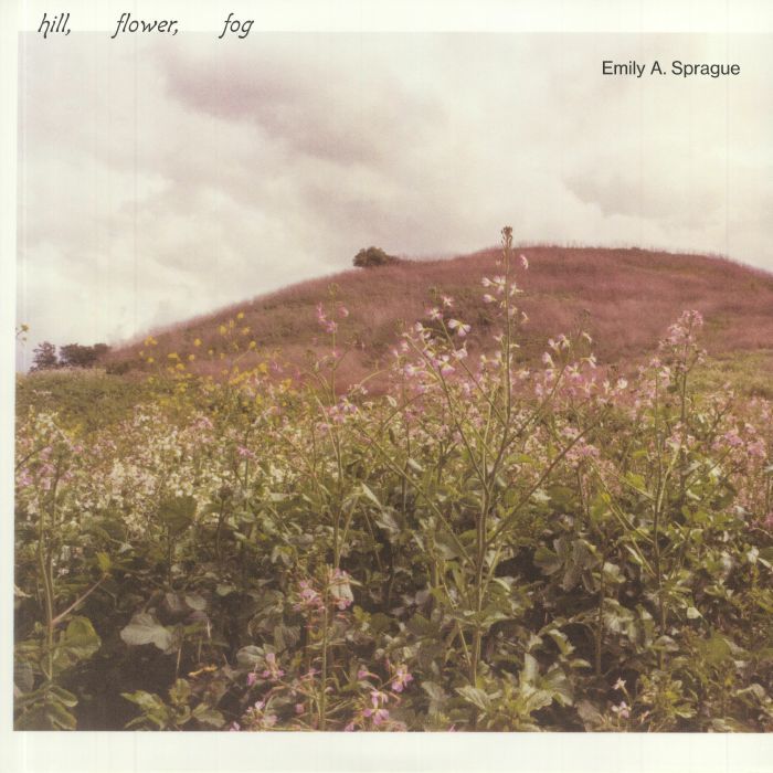 Emily A. Sprague《Hill, Flower, Fog》（LP + MP3下載碼）