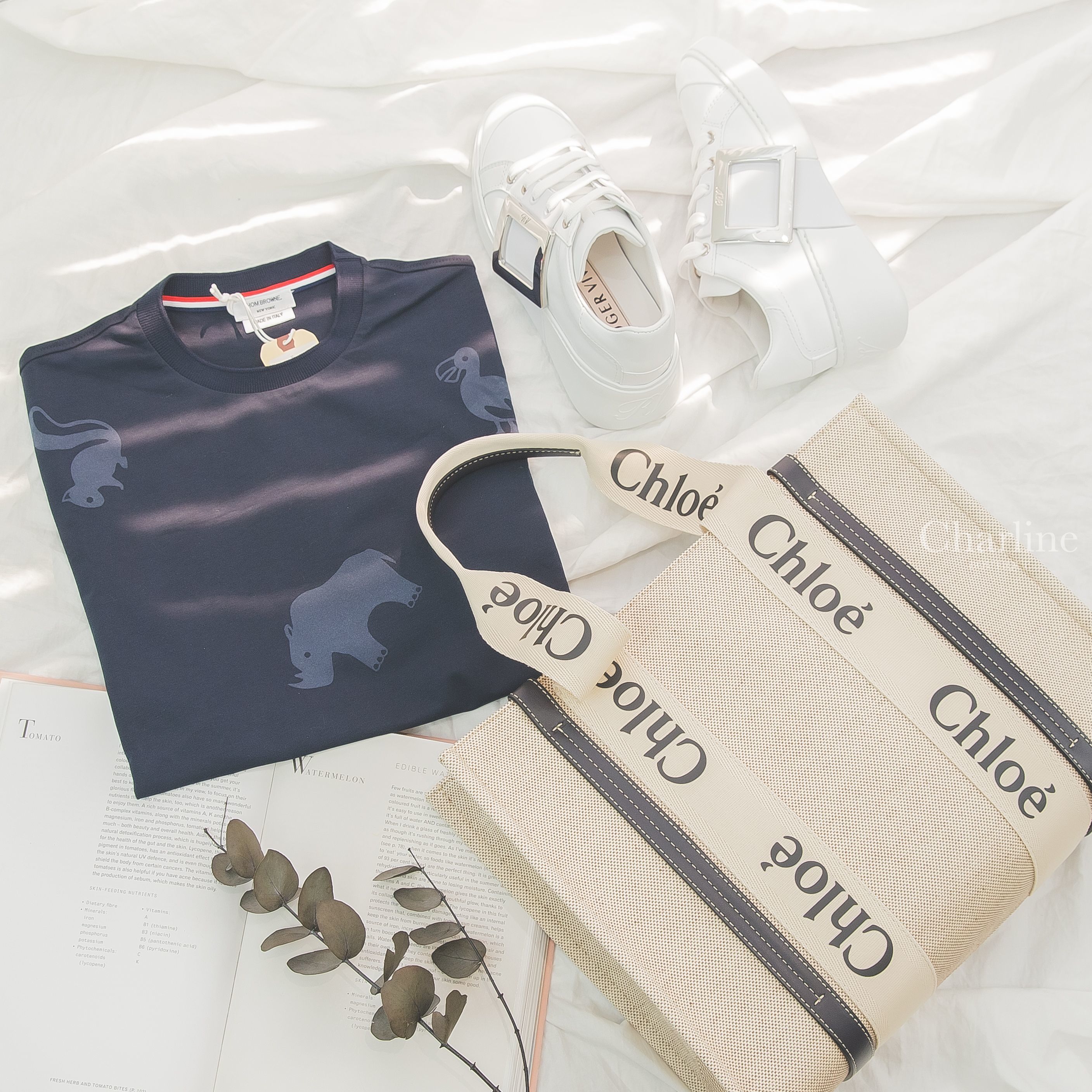 Chloe Medium Woody Tote Bag 米白色帆布拼藍色皮革黑Logo中型提把托特包,Roger Vivier Viv Skate Metal Buckle 白色銀方釦小牛皮運動鞋-Charline Boutique 精品代購