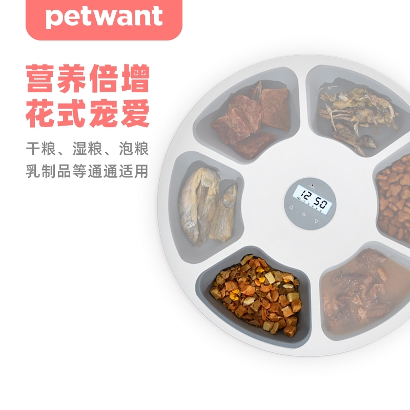 PETWANT甜甜圈自动喂食器  零食湿粮定时定量