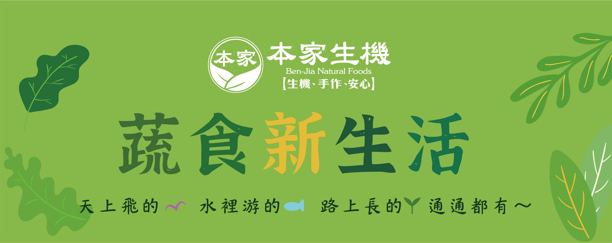 素肉哪裡買,素肉,素肉做法,素肉料理,素肉健康,素肉價格,素肉食譜,素肉網購,植物肉,蔬食肉,植物肉丁