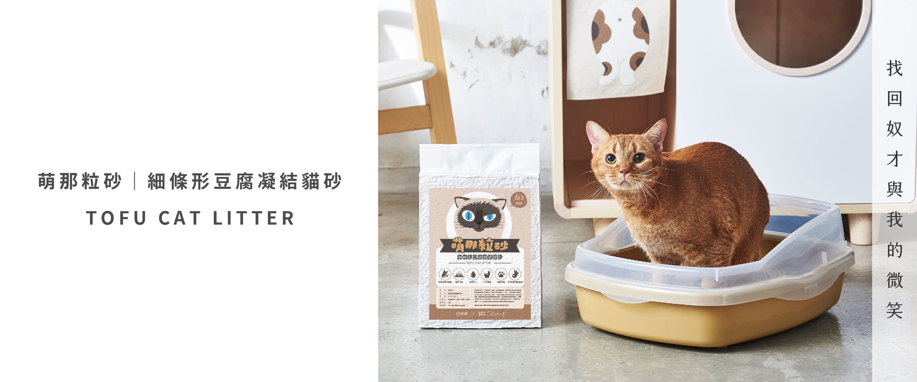 貓咪蹲在貓砂盆，旁邊有一包貓砂